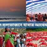 বার্ষিক বনভোজনে যাবার অনুমতির জন্য প্রধান শিক্ষকের নিকট আবেদন পত্র