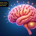 “মানব মস্তিষ্কের গঠন ও কার্যপ্রণালী নিয়ে তথ্যপূর্ণ ব্লগ আর্টিকেল”