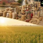 বাংলাদেশের জুট ক্ষেত্র, কৃষক এবং জুট থেকে তৈরি পণ্যগুলোর দৃশ্য; ঐতিহ্যবাহী ও আধুনিক জুট শিল্পের সংমিশ্রণ।