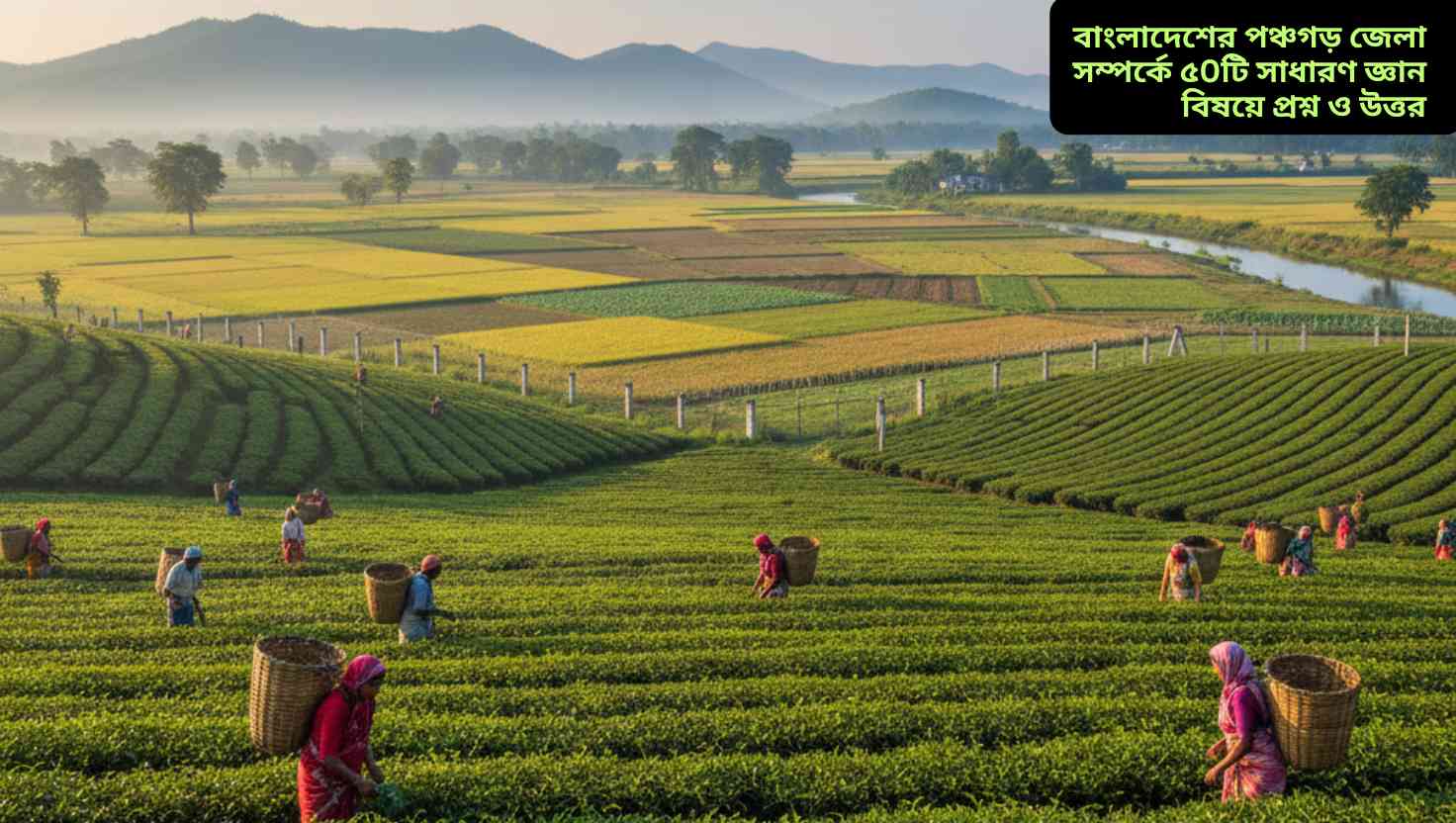 পঞ্চগড় জেলা: উত্তরের সীমান্তবর্তী প্রাকৃতিক সৌন্দর্য, চা বাগান ও ঐতিহ্যের সমন্বয়।