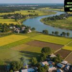 লালমনিরহাট জেলার তিস্তা নদী, সবুজ কৃষিজমি ও গ্রামীণ প্রকৃতির বাস্তব দৃশ্য