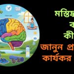 "একটি সুস্থ মানুষের মস্তিষ্কের চিত্র, যার চারপাশে ব্যায়াম, পুষ্টিকর খাবার, ঘুম, ধ্যান, সামাজিক সংযোগ এবং মানসিক চ্যালেঞ্জের আইকন রয়েছে, যা মস্তিষ্ককে নিরাপদ ও শক্তিশালী রাখার উপায় নির্দেশ করে।"