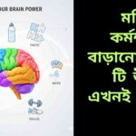“একটি স্বাস্থ্যকর ও সক্রিয় মস্তিষ্কের চিত্র, চারপাশে বই, ধাঁধা, ফলমূল, ব্যায়াম সরঞ্জাম, সূর্যালোক ও ধ্যানের আইকন।”