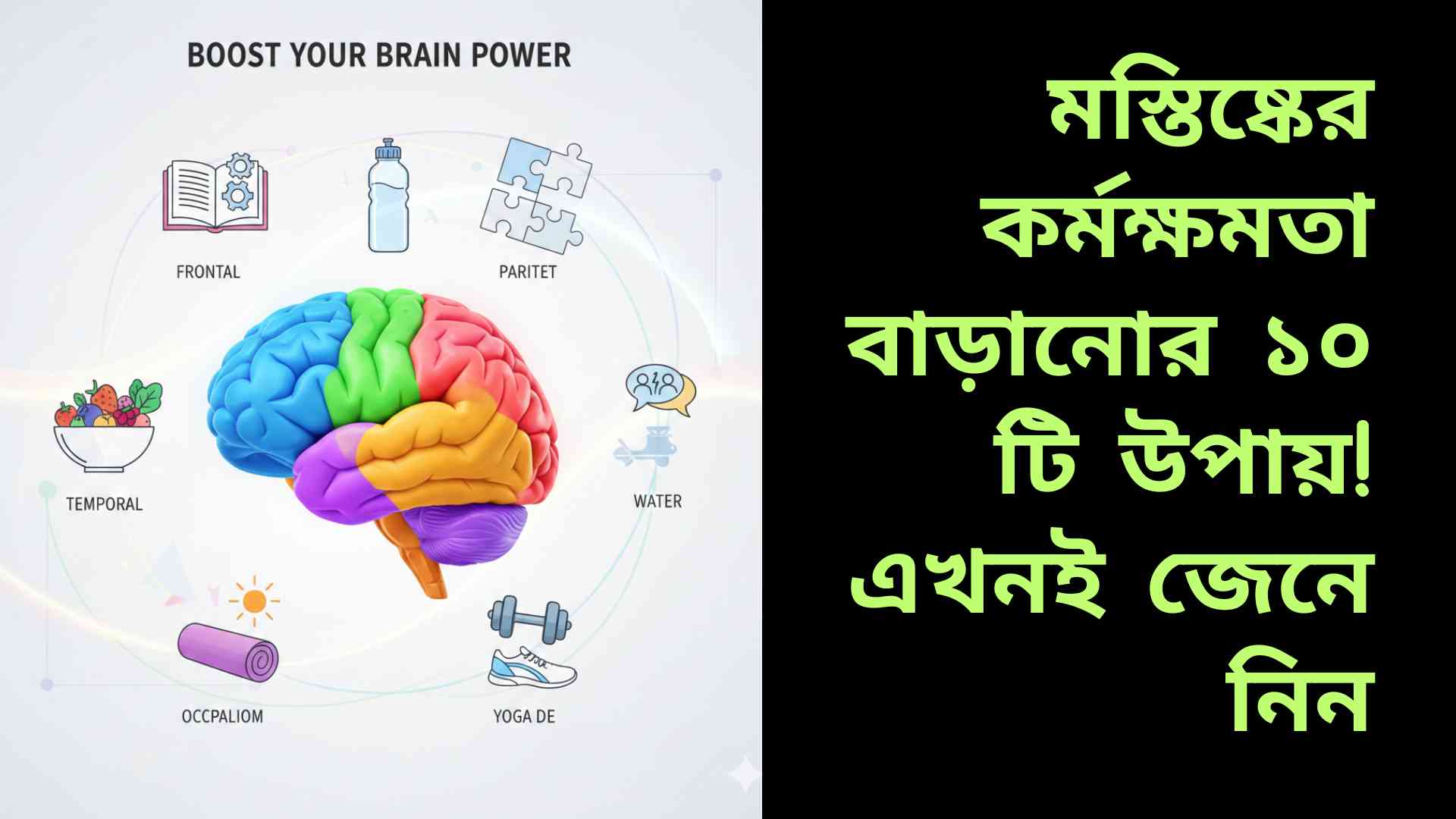 “একটি স্বাস্থ্যকর ও সক্রিয় মস্তিষ্কের চিত্র, চারপাশে বই, ধাঁধা, ফলমূল, ব্যায়াম সরঞ্জাম, সূর্যালোক ও ধ্যানের আইকন।”