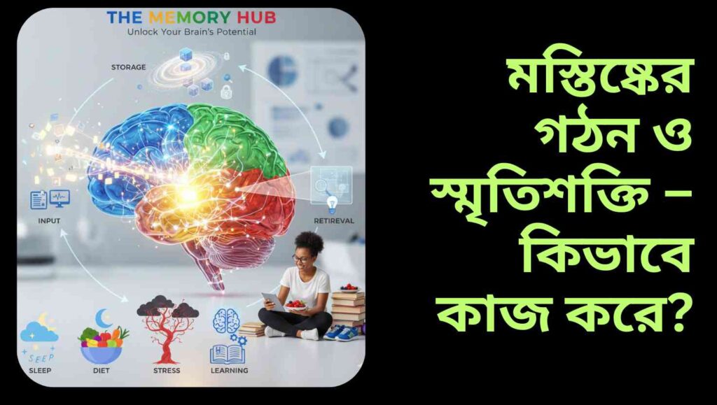 শিশু ও প্রাপ্তবয়স্কদের স্মৃতিশক্তি শক্তিশালী রাখার কৌশল এবং মস্তিষ্কের স্বাস্থ্য সচেতনতা সম্পর্কিত চিত্র