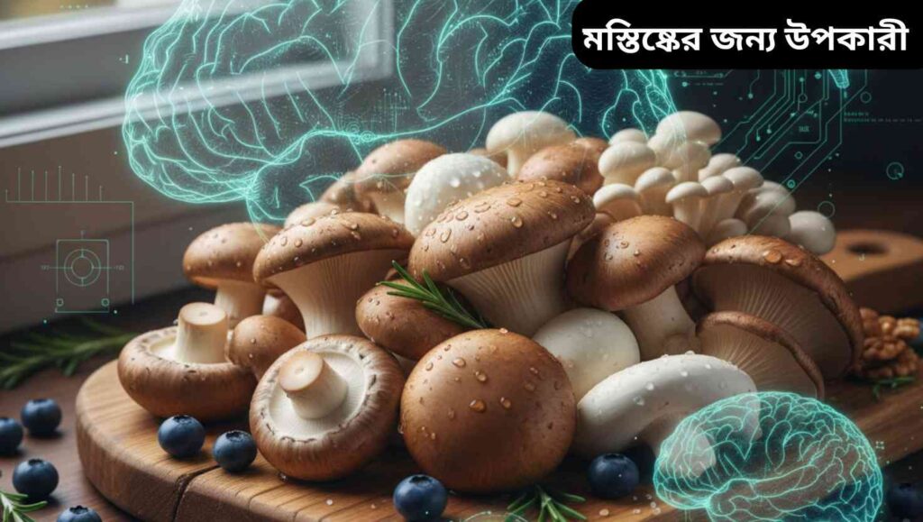 "মস্তিষ্কের স্বাস্থ্য রক্ষায় উপকারী তাজা মাশরুমের রিয়েলিস্টিক ছবি।"