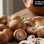 “কাঠের কনটারে রাখা তাজা মাশরুম, কিছু কাটা এবং কিছু পুরো, পেছনে কিছু সবুজ হার্বস সহ, স্বাস্থ্যকর খাবারের জন্য উপযুক্ত”