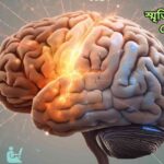 "মানব মস্তিষ্কের ছবি, যেখানে স্মৃতি সংযোগগুলো ম্লান হচ্ছে এবং স্বাস্থ্যকর অভ্যাসগুলো মস্তিষ্ককে শক্তিশালী করছে।"