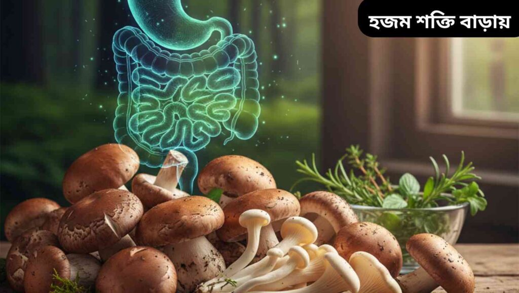 “মাশরুম খেলে পাচনতন্ত্র সুস্থ থাকে ও হজম প্রক্রিয়া উন্নত হয়।”