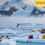 অ্যান্টার্কটিকার বরফে ঢাকা ল্যান্ডস্কেপ, পেঙ্গুইন, সীল এবং গবেষণা স্টেশনসহ ১০০টি সাধারণ জ্ঞানমূলক প্রশ্ন ও উত্তরের জন্য ইলাস্ট্রেশন।