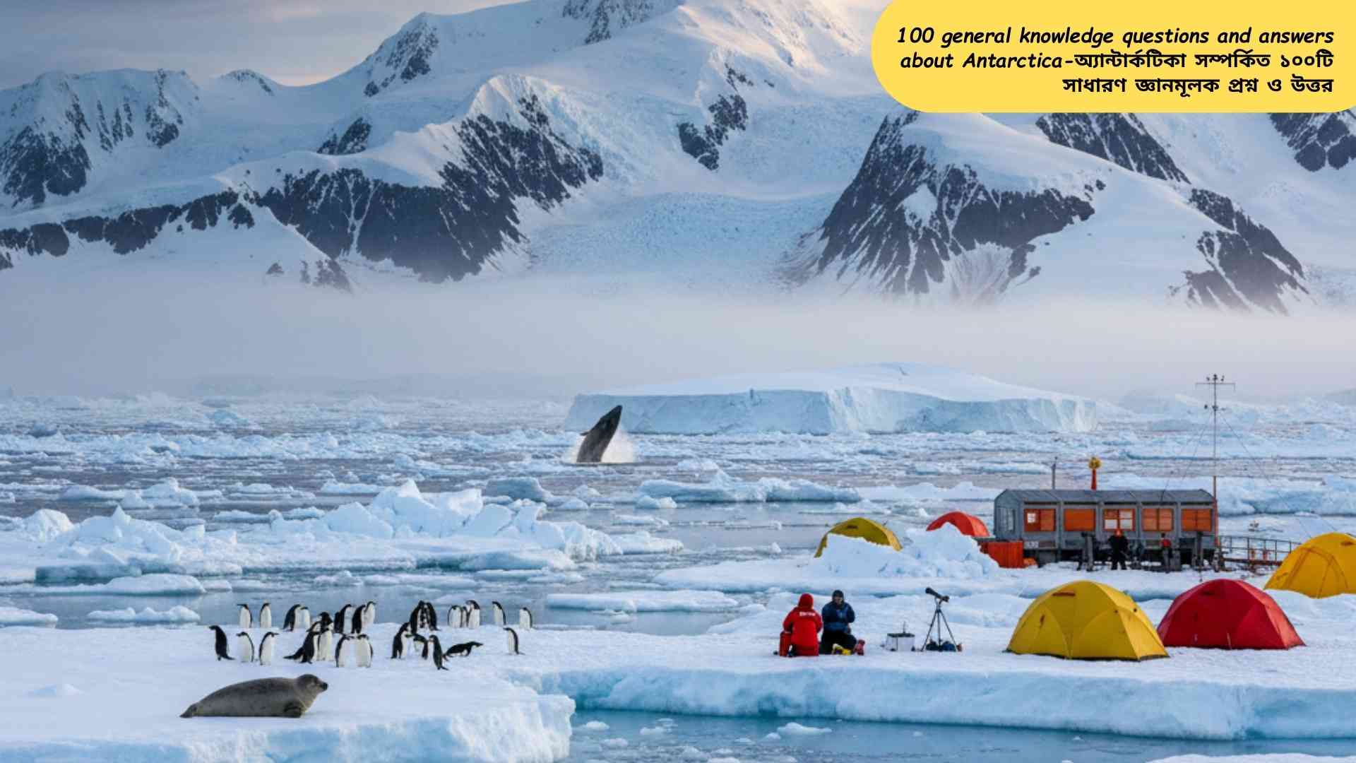 অ্যান্টার্কটিকার বরফে ঢাকা ল্যান্ডস্কেপ, পেঙ্গুইন, সীল এবং গবেষণা স্টেশনসহ ১০০টি সাধারণ জ্ঞানমূলক প্রশ্ন ও উত্তরের জন্য ইলাস্ট্রেশন।
