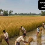 বাংলাদেশে বছরে প্রায় ১৫ লাখ মেট্রিক টন পাট উৎপাদিত হয়, যা দেশের কৃষি অর্থনীতিতে গুরুত্বপূর্ণ ভূমিকা রাখছে