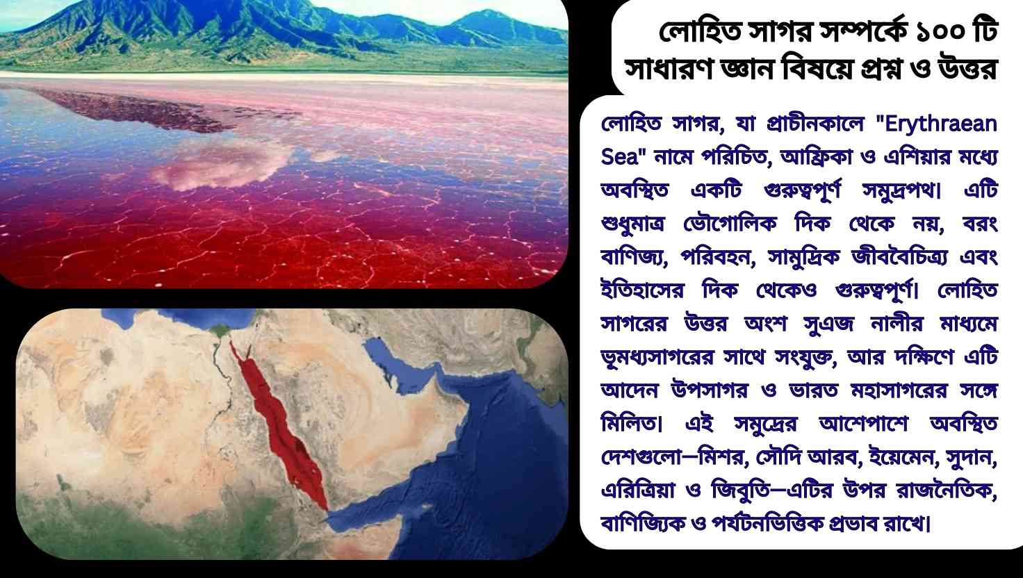 লোহিত সাগর সম্পর্কে ১০০টি সাধারণ জ্ঞানমূলক প্রশ্ন ও উত্তর