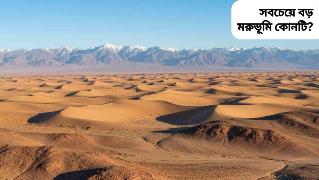 "গোবি মরুভূমির বিস্তৃত দৃশ্য, বালি ধুলোর টিলা, পাথুরে সমভূমি ও দূরে পাহাড়, সূর্যের আলোতে ছায়া পড়ছে।"