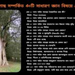 উত্তর আমেরিকার বনাঞ্চলে জন্মানো পূর্বাঞ্চলীয় রেডসেডার (Juniperus virginiana) গাছের সবুজ সূচাকৃতি পাতা, নীলচে ফল এবং লালচে-বাদামি কাণ্ডের স্পষ্ট ছবি